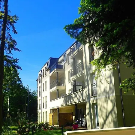 Cap Soleil Dammarie-lè-Lys